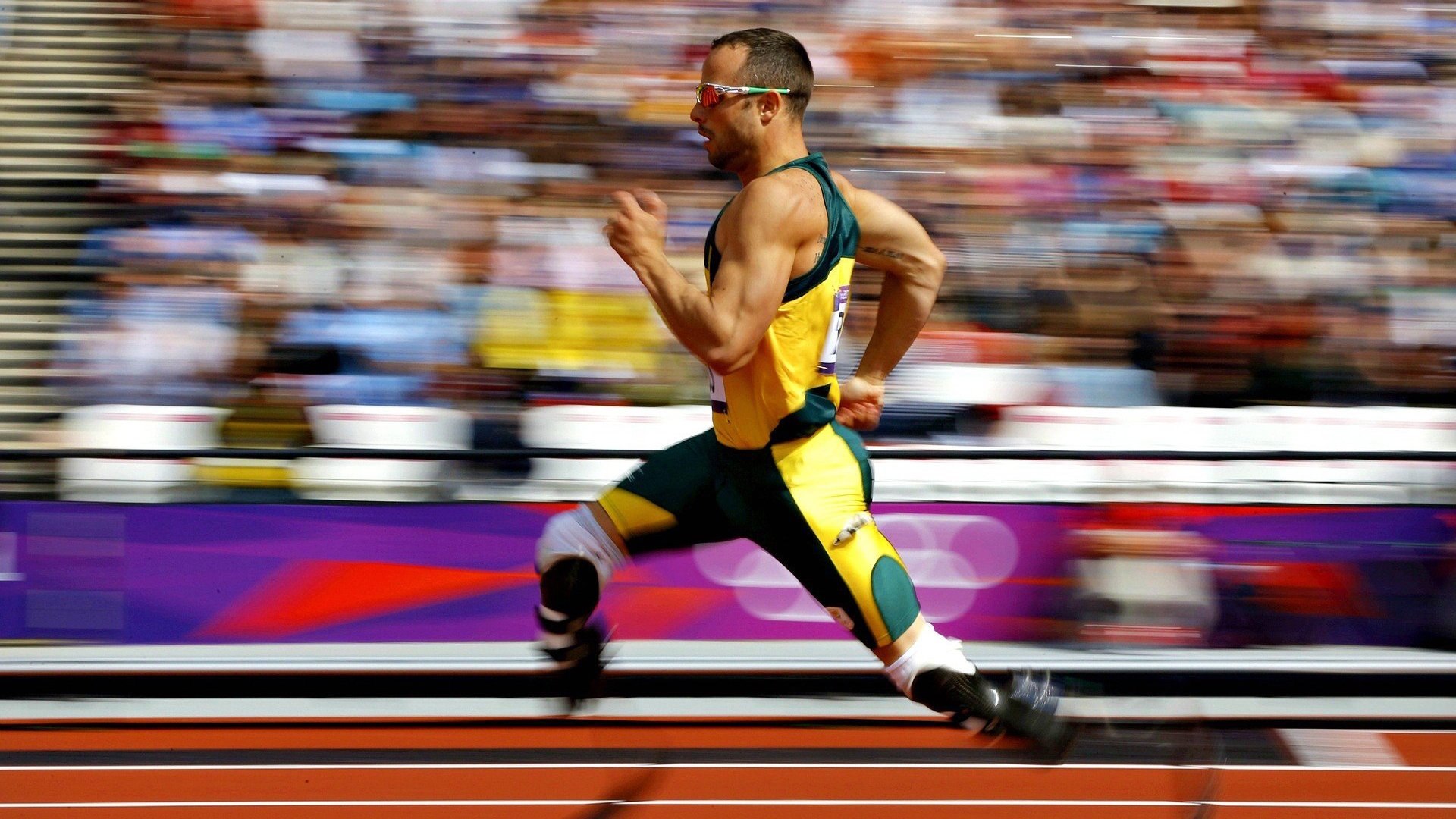 【现场采访】冠军运动员的心路历程与未来目标，采访冠军运动员的问题及回答